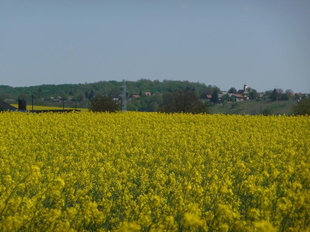 Förhénc Wine House&Guesthouses I-II-III Nagykanizsa Kültér fotó