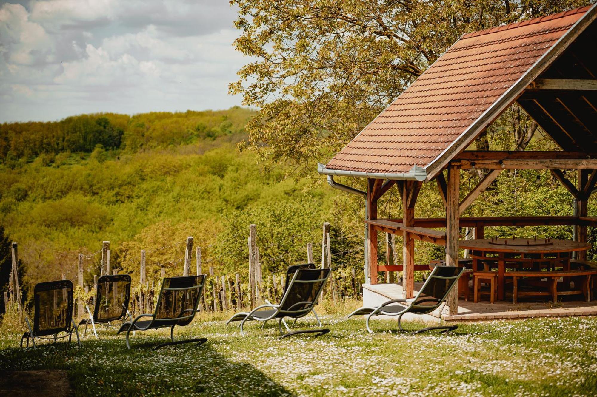 Förhénc Wine House&Guesthouses I-II-III Nagykanizsa Kültér fotó