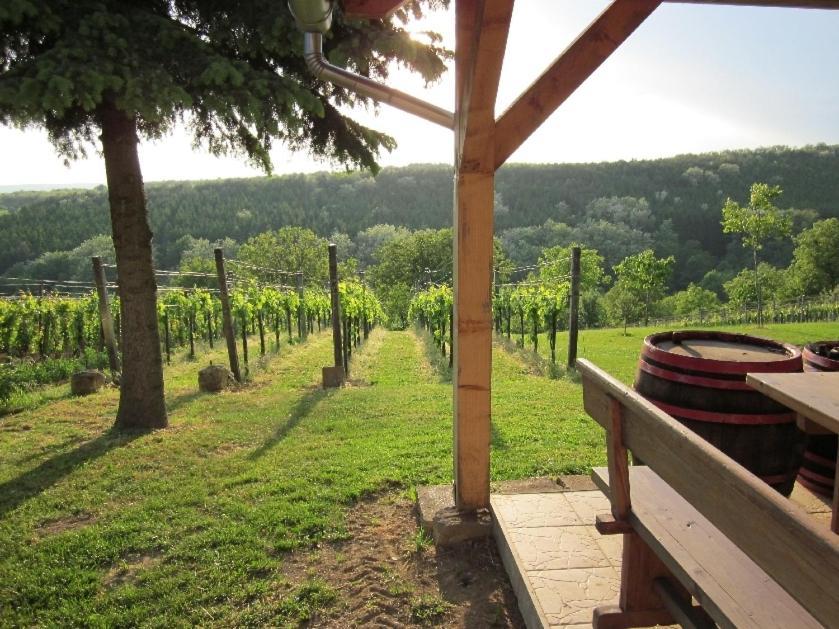 Förhénc Wine House&Guesthouses I-II-III Nagykanizsa Kültér fotó