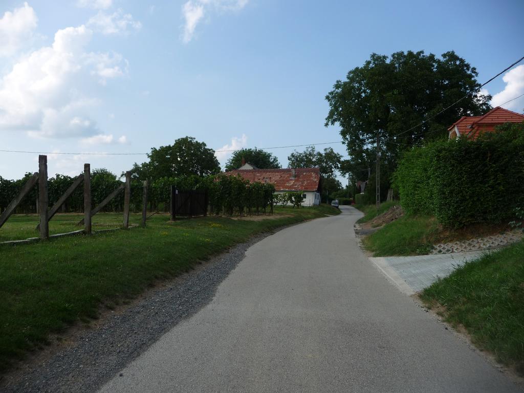 Förhénc Wine House&Guesthouses I-II-III Nagykanizsa Kültér fotó